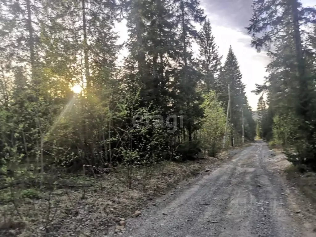 Участок в Свердловская область, Нижний Тагил городской округ, д. ... - Фото 1