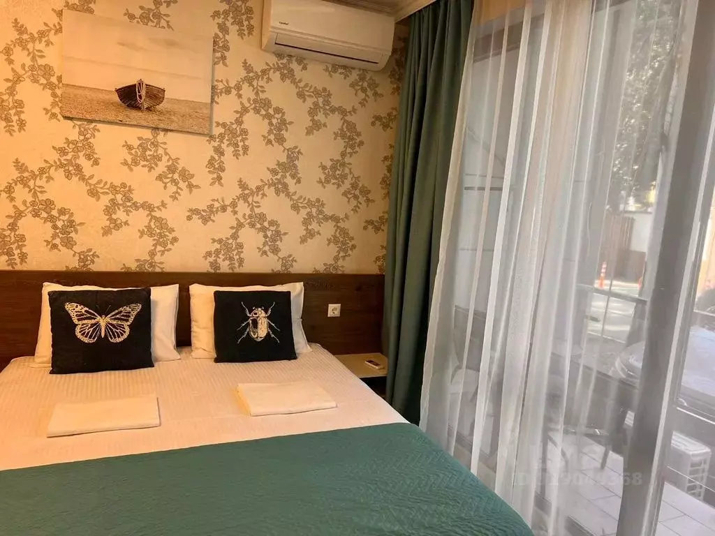 Студия Краснодарский край, Сочи ул. Ленина, 219А/1к1 (23.0 м) - Фото 1