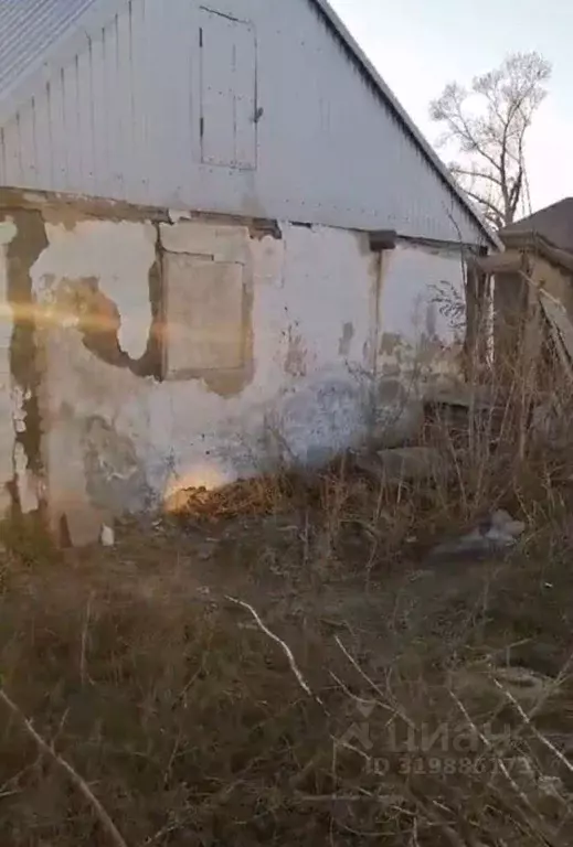 Дом в Алтайский край, Славгород ул. Титова, 193 (42 м) - Фото 0