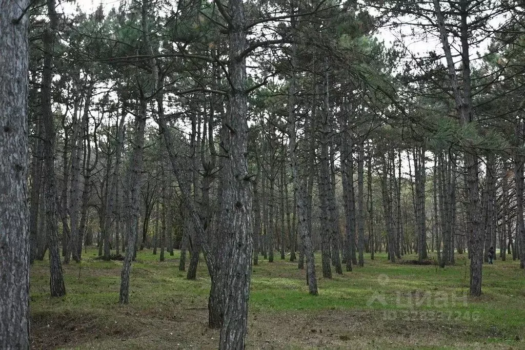 1-к кв. Крым, Симферополь ул. Аральская, 55 (34.0 м) - Фото 1