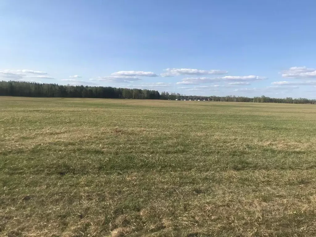 Участок в Алтайский край, Первомайский район, с. Фирсово, Рощино мкр ... - Фото 0