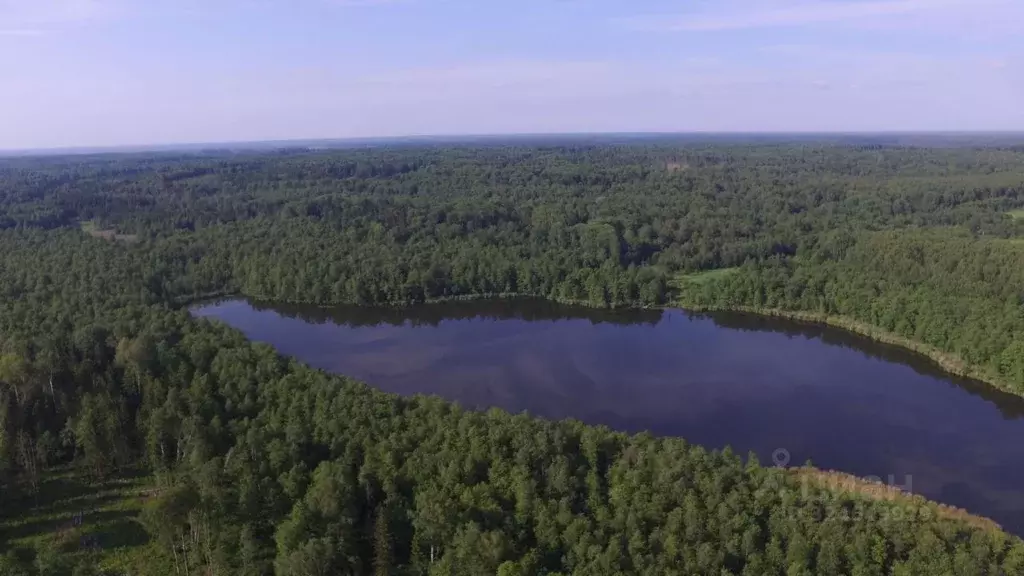 Дом в Московская область, Можайский муниципальный округ, Головино хут. ... - Фото 2
