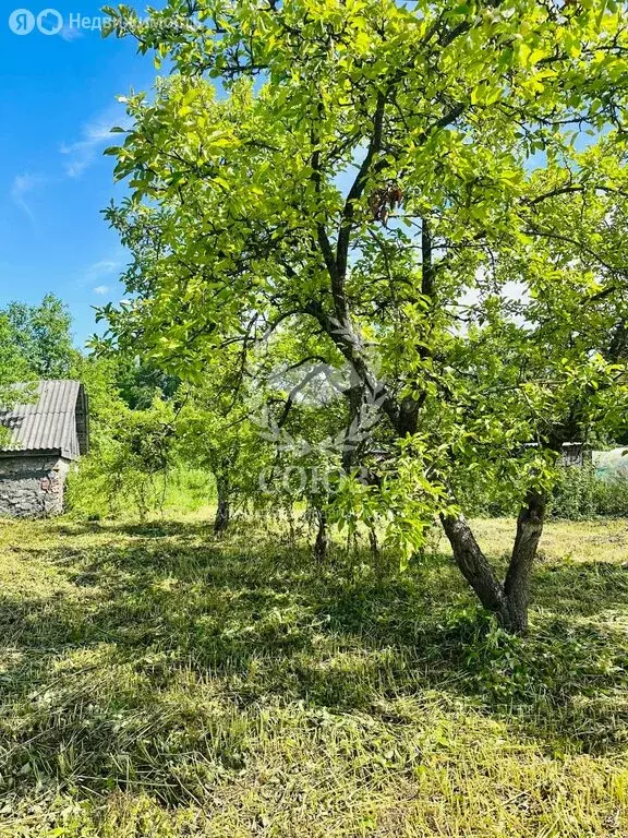 Дом в село Брынь, улица имени Полянской, 27 (81.8 м) - Фото 2
