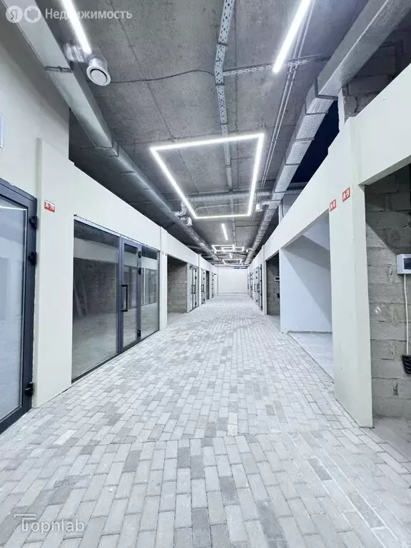 Помещение свободного назначения (23 м) - Фото 2