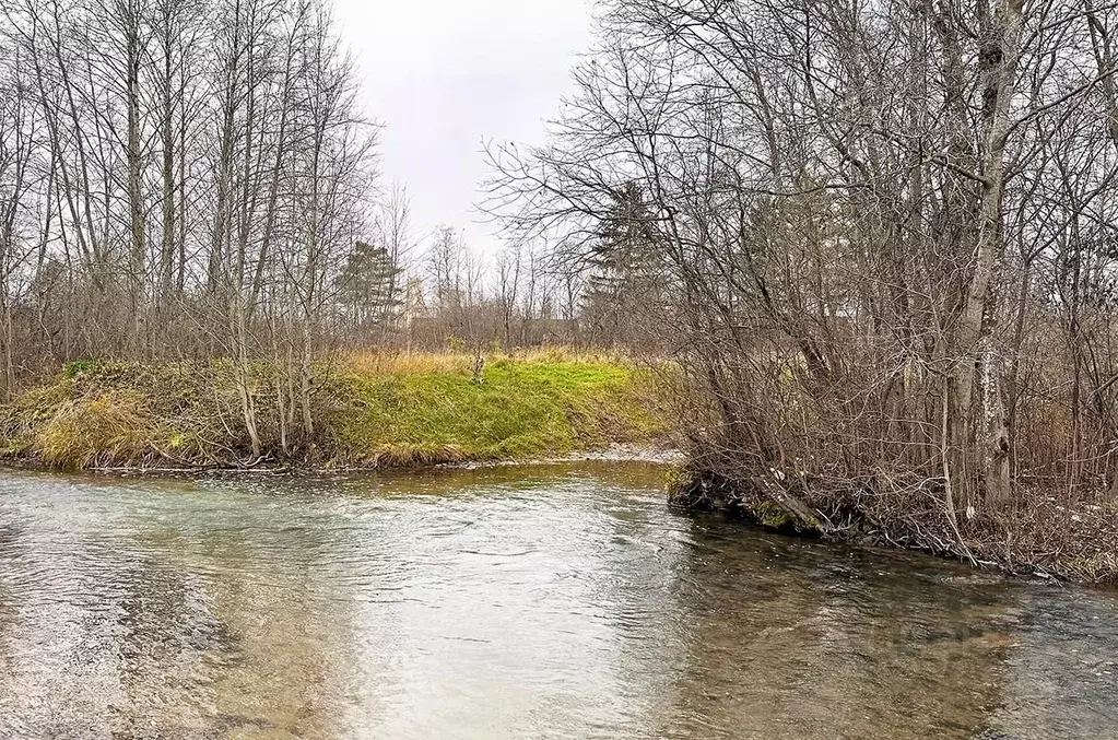 Участок в Ленинградская область, Ломоносовский район, Ропшинское ... - Фото 2