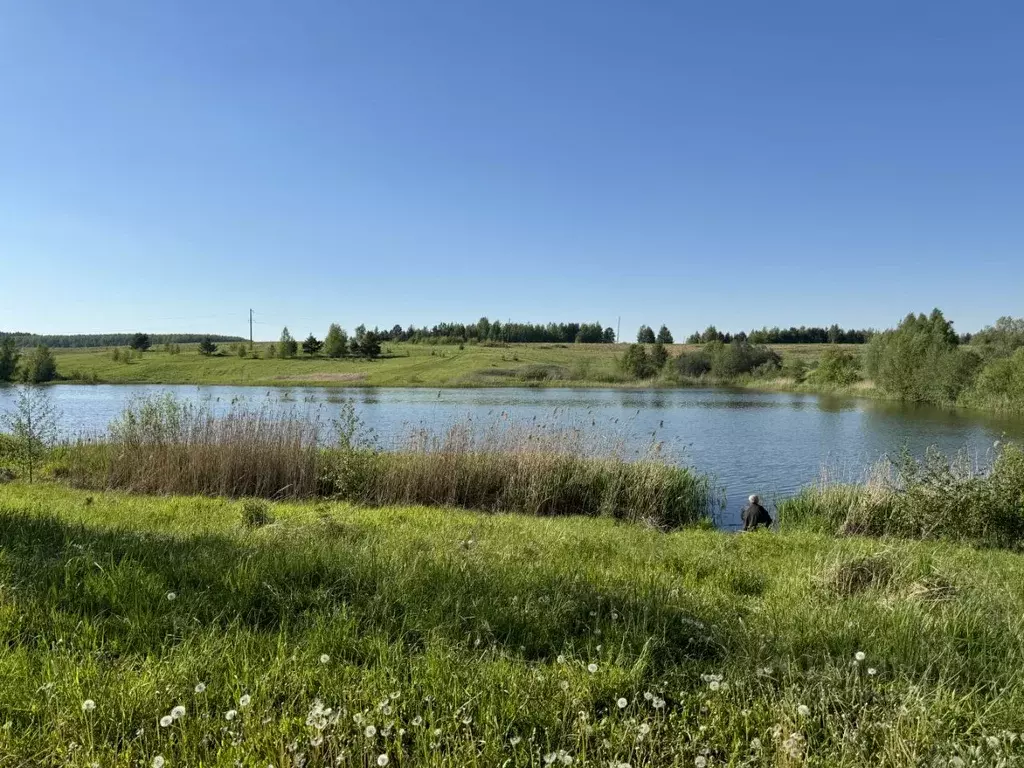 Участок в Нижегородская область, Богородский район, с. Спирино  (13.6 ... - Фото 0