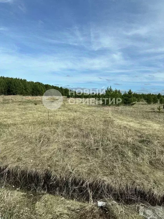 Участок в Свердловская область, Сысертский муниципальный округ, ... - Фото 2