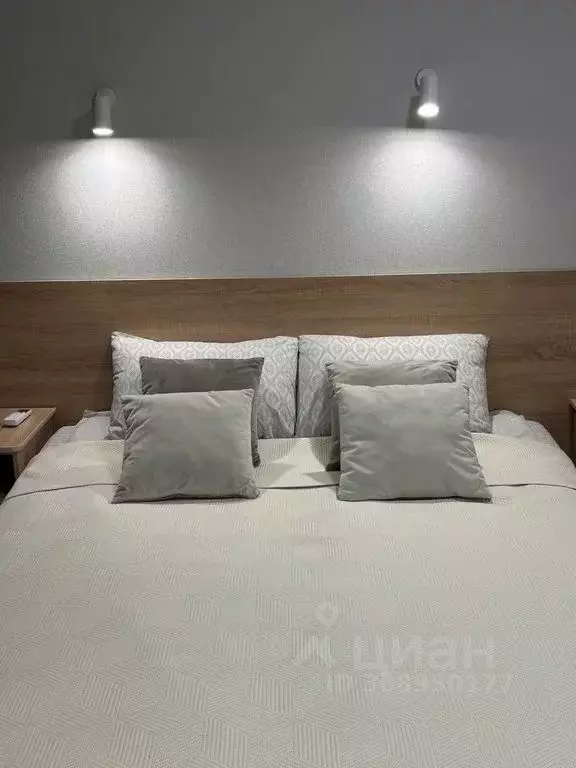 Студия Ставропольский край, Кисловодск ул. Орджоникидзе, 34 (28.0 м) - Фото 1