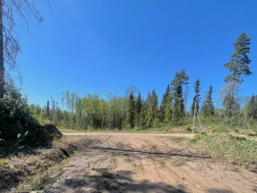 Участок в Новгородская область, Валдай ул. Якова Зимина, 3 (15.0 сот.) - Фото 0