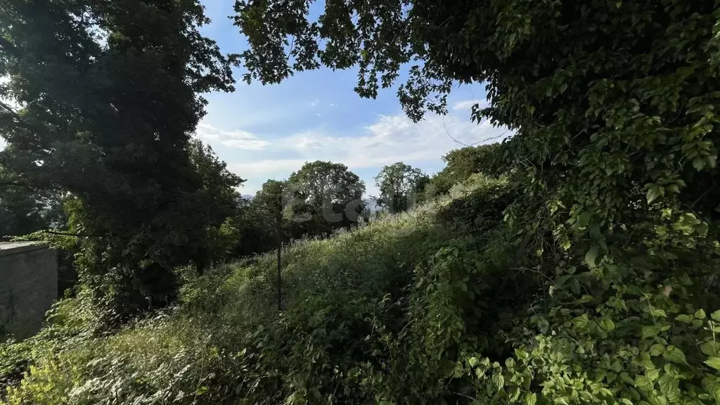 Участок в Краснодарский край, Геленджик городской округ, Строитель СТ  ... - Фото 1