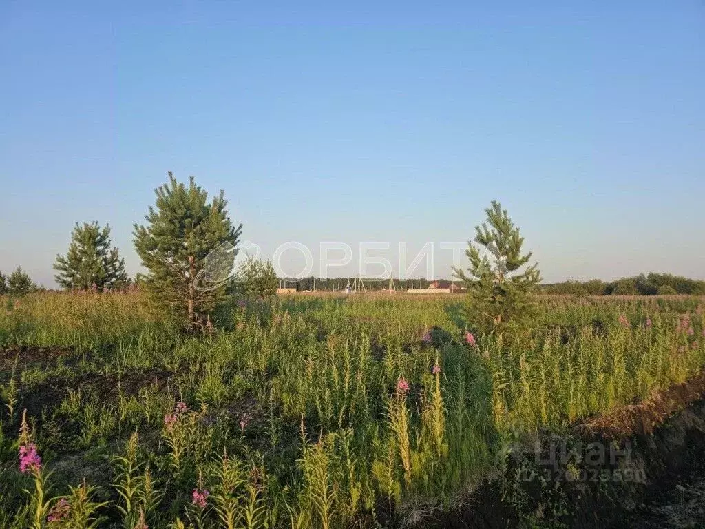 Участок в Тюменская область, Тюменский муниципальный округ, с. ... - Фото 1