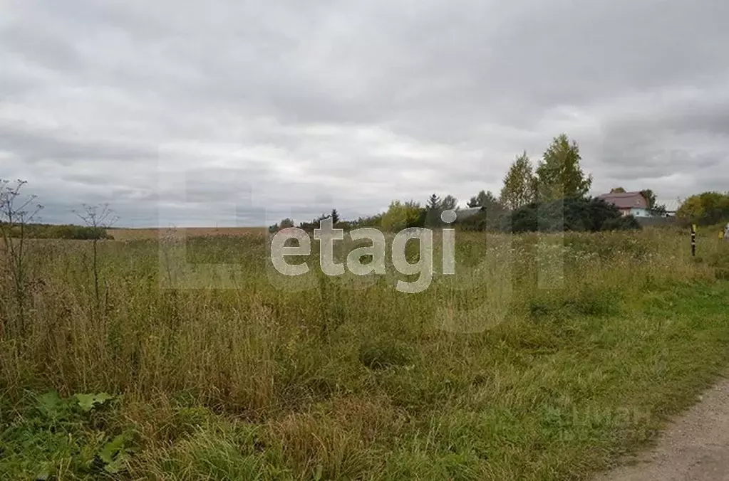 Участок в Вологодская область, Никольский муниципальный округ, д. ... - Фото 1