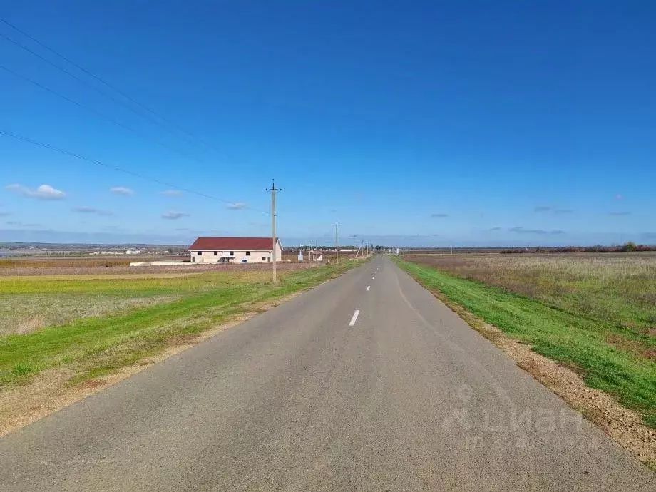 Участок в Краснодарский край, Темрюкский район, Запорожская ст-ца пер. ... - Фото 2