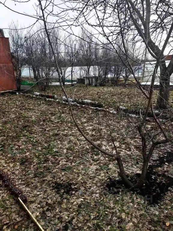 Дом в Челябинская область, Челябинск Трубопрокатчик-2 СНТ, ул. 11-я ... - Фото 1