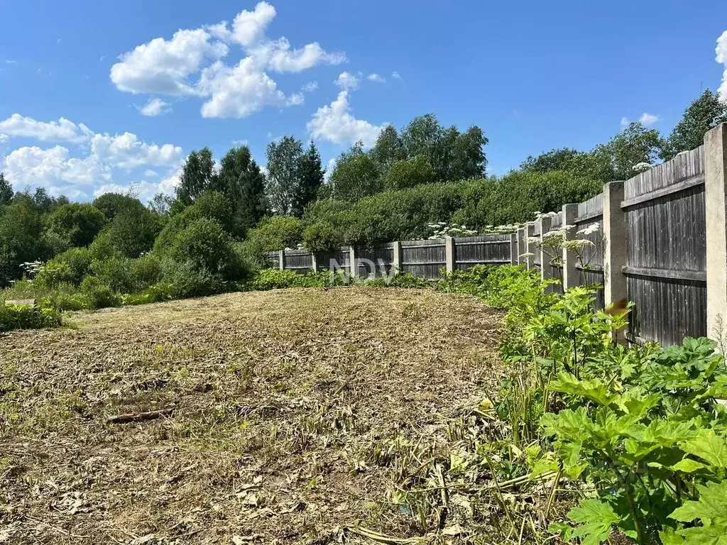 Участок в Московская область, Рузский городской округ, д. Курово  ... - Фото 1