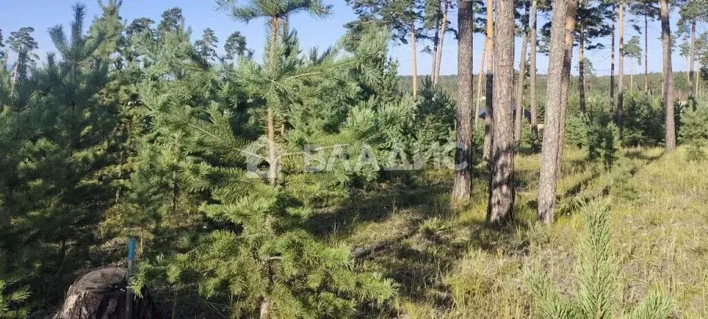 Участок в Бурятия, Улан-Удэ ул. Энергетическая (7.24 сот.) - Фото 2