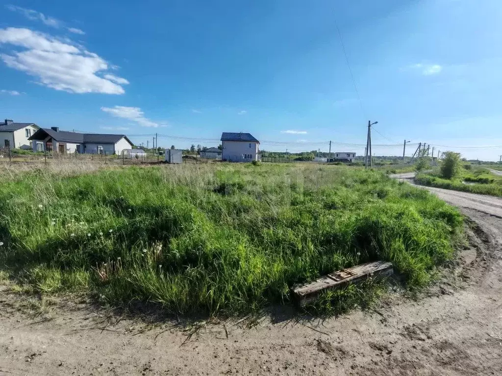 Участок в Калининградская область, Зеленоградский муниципальный округ, ... - Фото 2