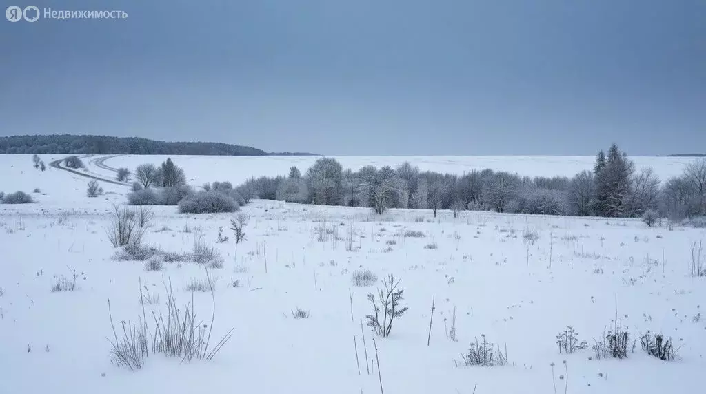 Участок в Тульская область, городской округ Тула, деревня Морозовка, ... - Фото 1