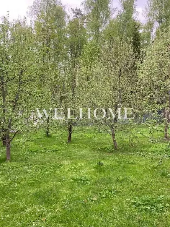 Продается участок в КП Горки-6 - Фото 1