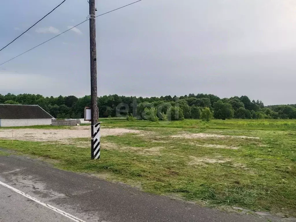 Участок в Брянская область, Брянский район, Новодарковичское с/пос, д. ... - Фото 2