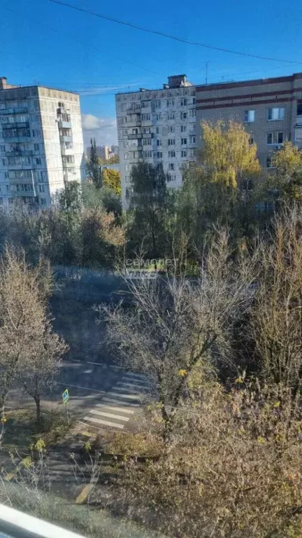 1-к кв. Московская область, Подольск Парковая ул., 40 (32.7 м) - Фото 2