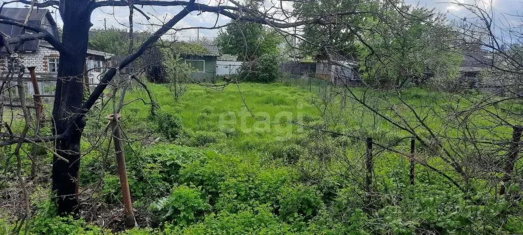 Дом в Брянская область, Брянск Вишня-2 садовое общество,  (20 м) - Фото 0