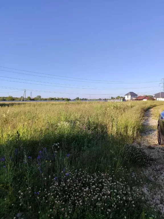 Участок в Ленинградская область, Ломоносовский район, Ропшинское ... - Фото 1