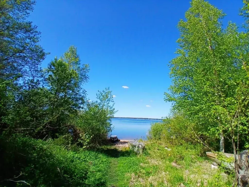 Участок в Тверская область, Пено пгт ул. Красноармейская (11.0 сот.) - Фото 1