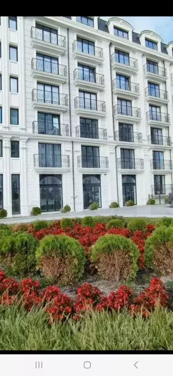 Студия Краснодарский край, Анапа ул. Толстого, 27 (39.0 м) - Фото 0