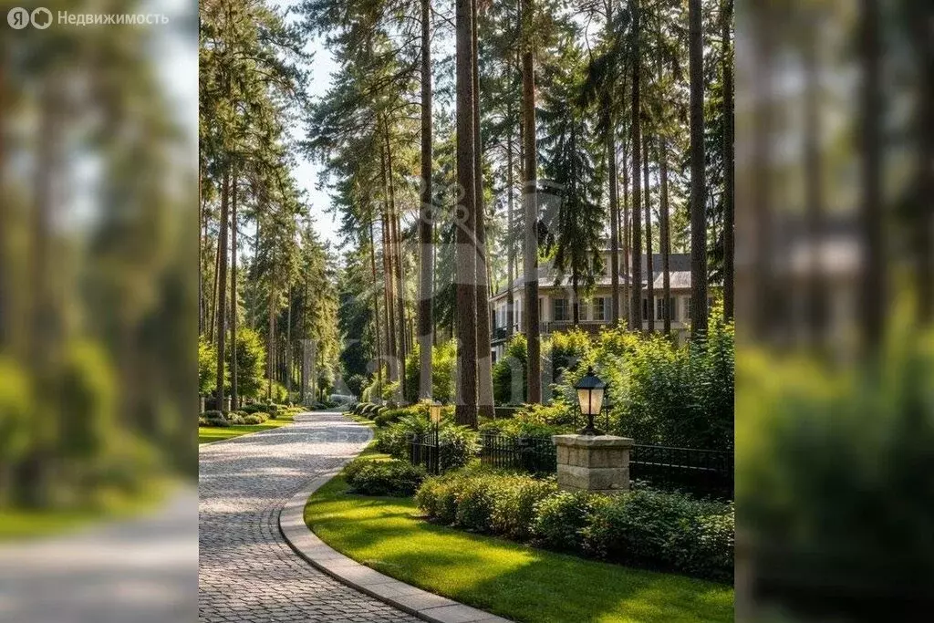 Участок в посёлок Николина Гора, КП Сосновый бор, Центральная улица ... - Фото 2