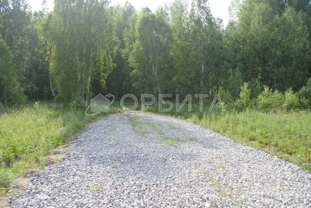 Участок в Тюменская область, Тюменский район, с. Кулига, Кулига-2 мкр  ... - Фото 1