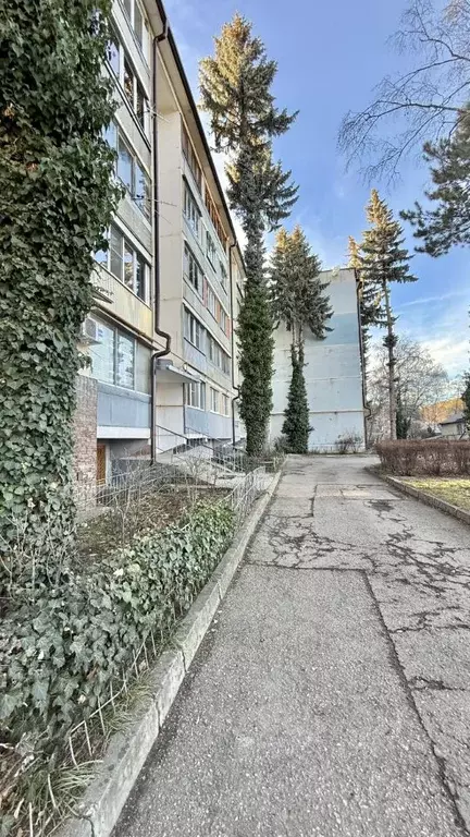 2-к кв. Ставропольский край, Кисловодск ул. Катыхина, 175 (52.0 м) - Фото 1