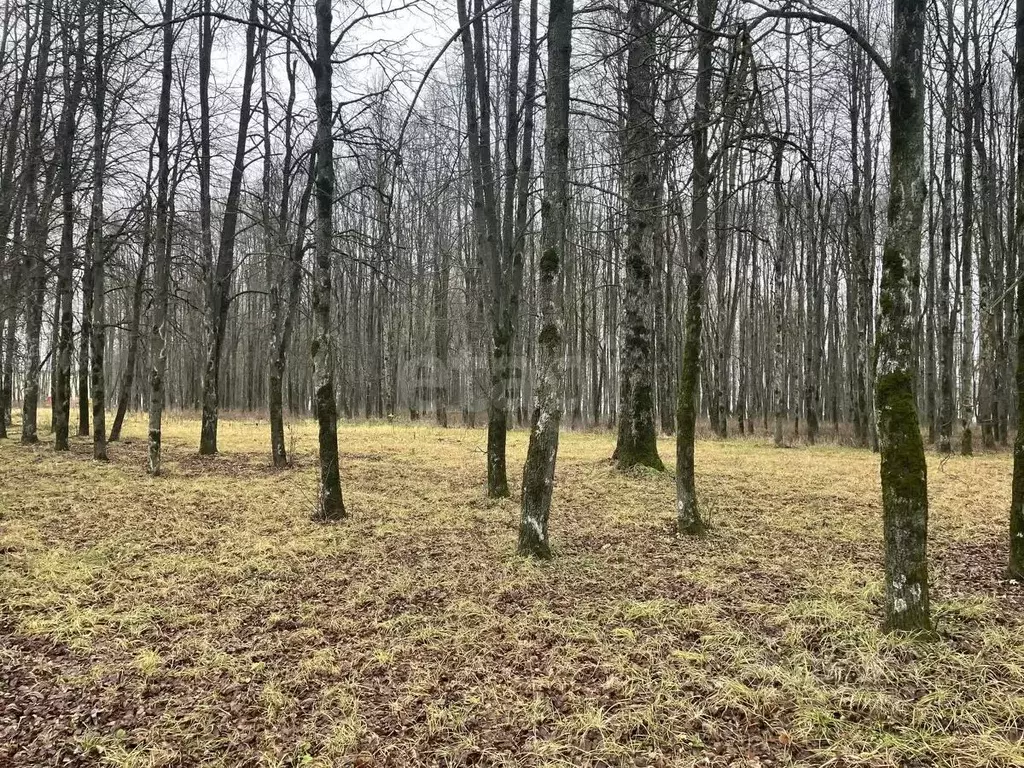 Участок в Тульская область, Тула ул. Едунова, 14 (4.78 сот.) - Фото 1