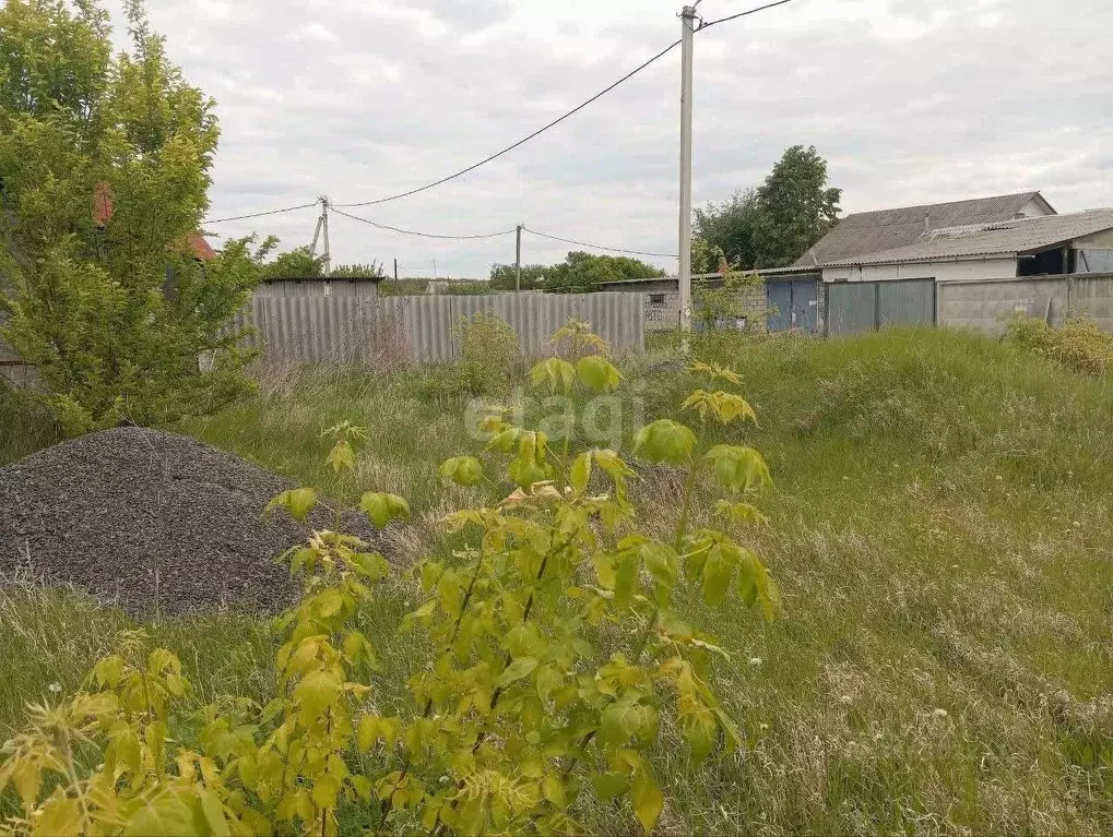 Участок в Белгородская область, Новооскольский муниципальный округ, с. ... - Фото 1