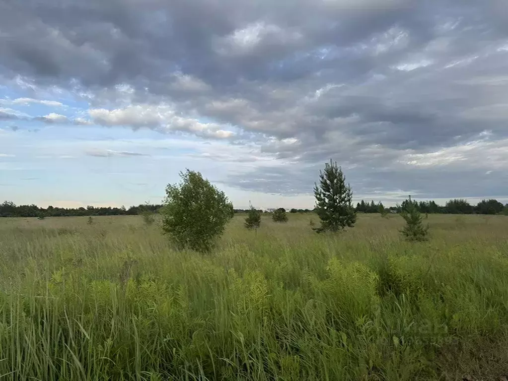 Участок в Московская область, Павлово-Посадский городской округ, д. ... - Фото 1