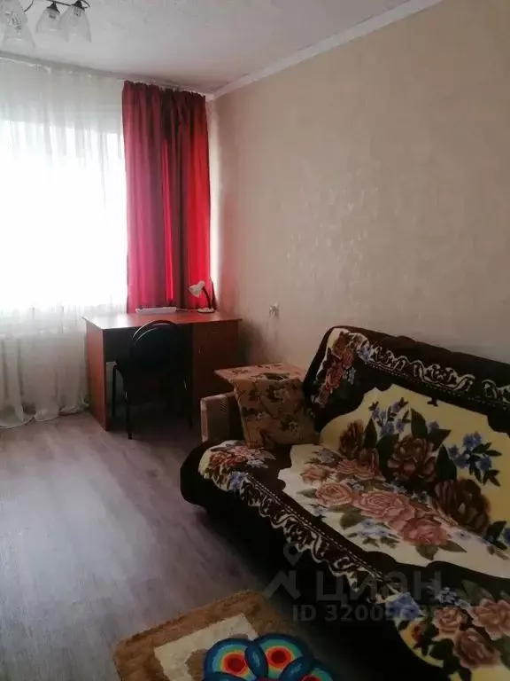 Студия Курганская область, Курган ул. Ленина, 48 (19.0 м) - Фото 0