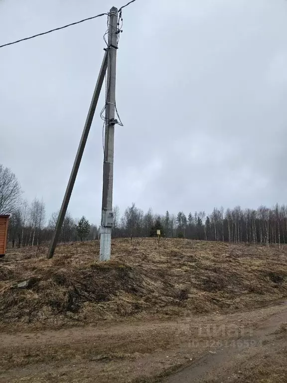 Участок в Новгородская область, Валдайский район, Короцкое с/пос  ... - Фото 1