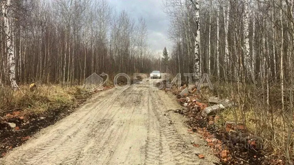 Участок в Тюменская область, Нижнетавдинский район, Душевное садовое ... - Фото 1