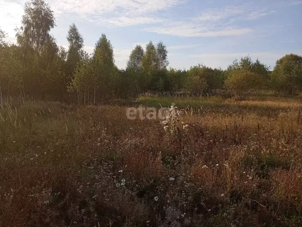 Участок в сельское поселение Ястребовка, деревня Литвиново (10 м) - Фото 0