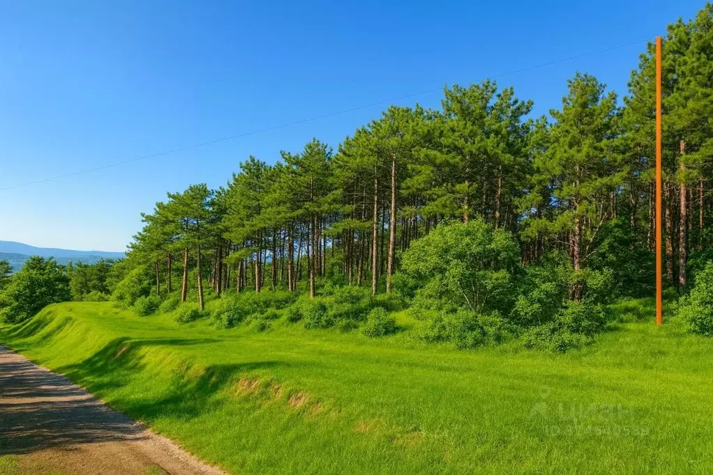Участок в Крым, Алушта муниципальный округ, пос. Семидворье, Аян-Дере ... - Фото 2