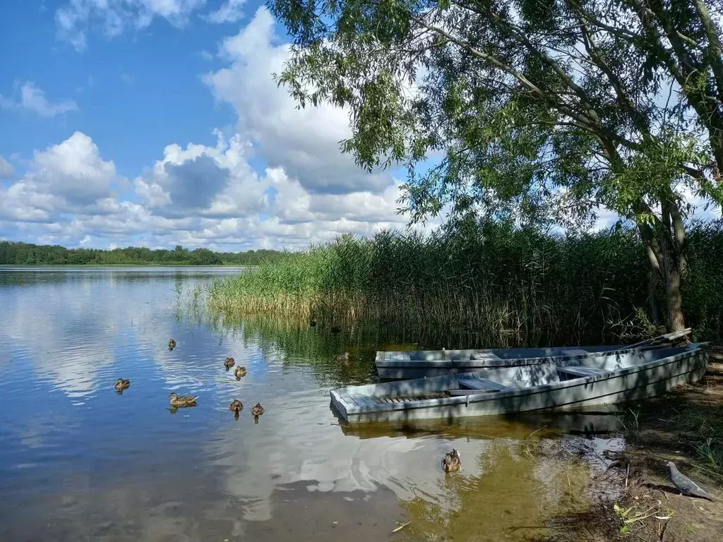 Участок в Псковская область, Гдовский район, Самолвовская волость, ... - Фото 1