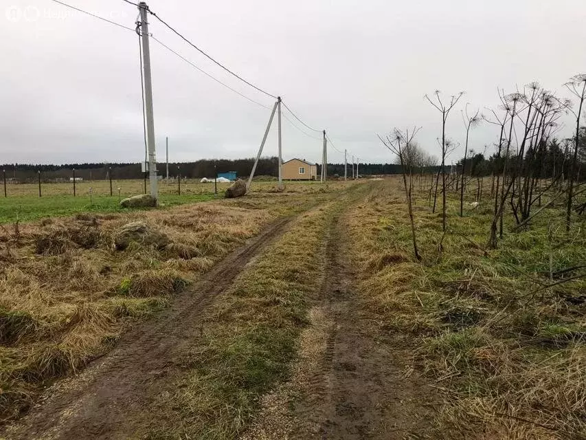 Участок в Волосовский район, Клопицкое сельское поселение, посёлок ... - Фото 1