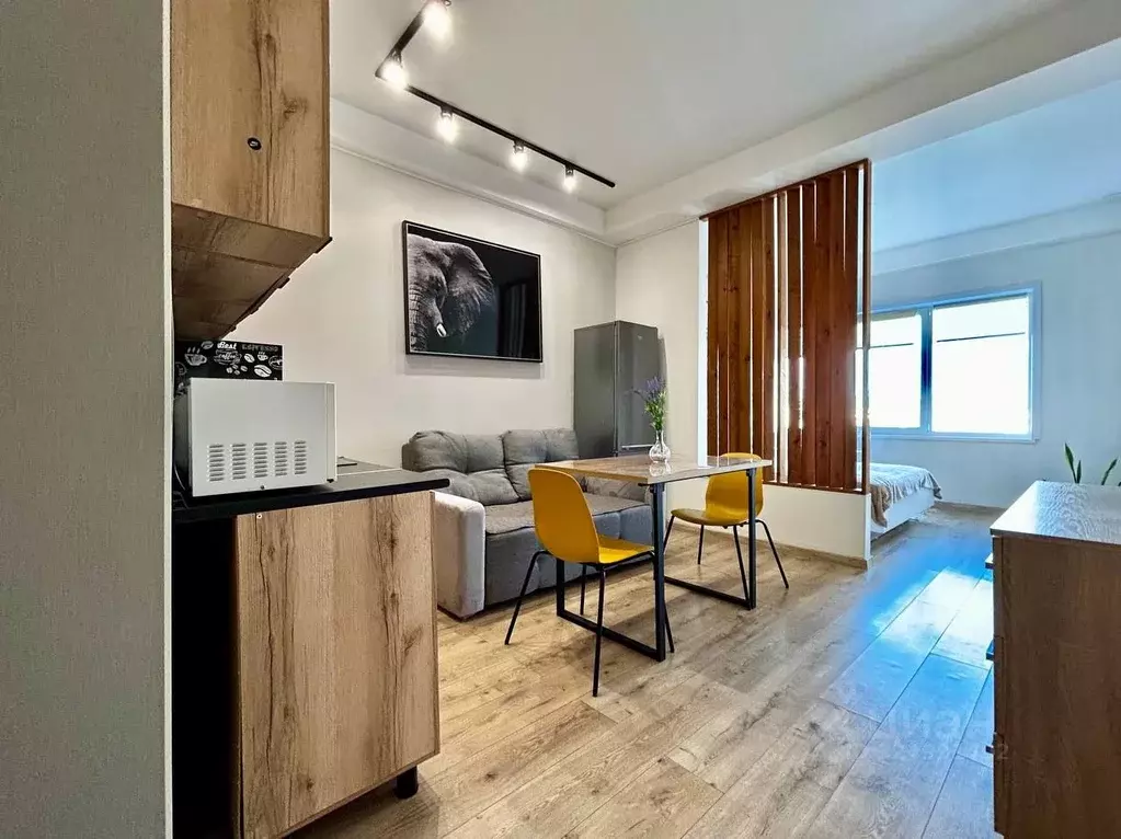 Студия Краснодарский край, Сочи Виноградная ул., 22/1А (37.0 м) - Фото 2