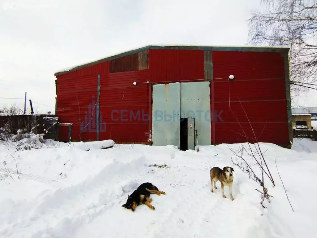 Помещение свободного назначения (460 м) - Фото 2