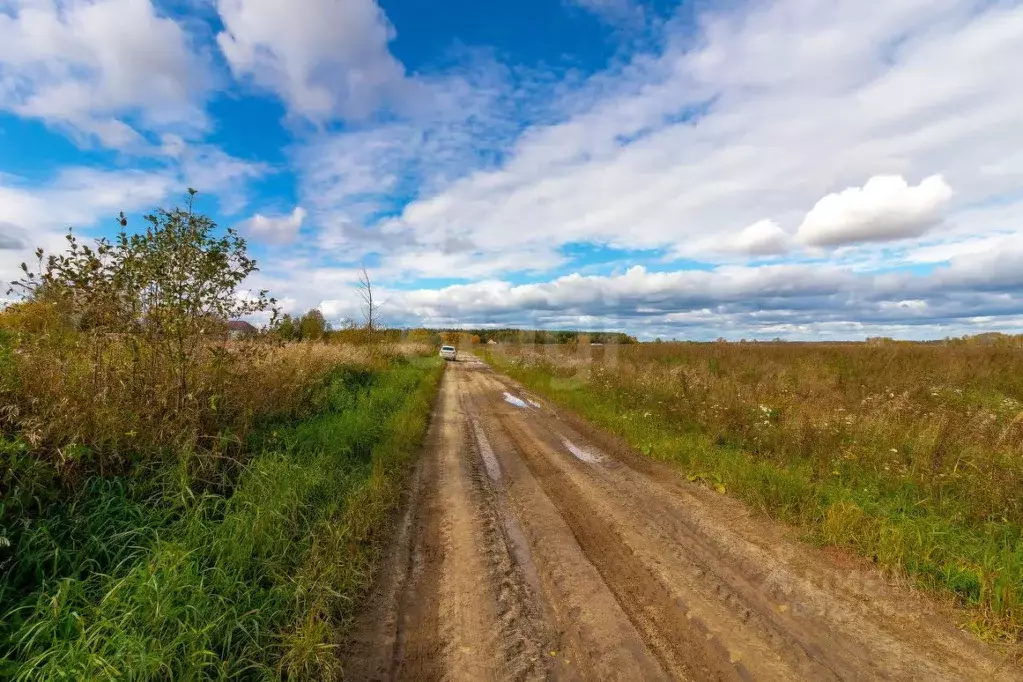 Участок в Тюменская область, Тюменский муниципальный округ, с. ... - Фото 2