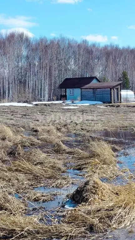Участок в Новосибирская область, Колыванский район, Проектировщик СНТ ... - Фото 1