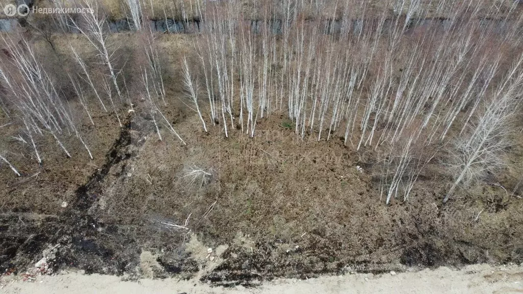 Участок в Тюмень, СНТ Бирюсинка, Зелёная улица (6.05 м) - Фото 1