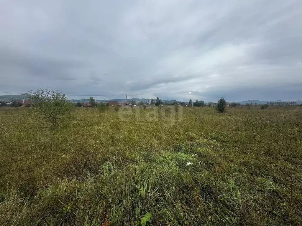Участок в Алтайский край, Советский район, с. Шульгин Лог  (12.0 сот.) - Фото 1