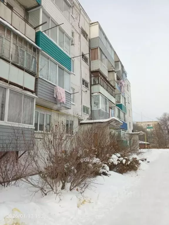 2-к кв. Хабаровский край, Амурский район, Эльбан рп, 2-й мкр 5 (51.0 ... - Фото 1