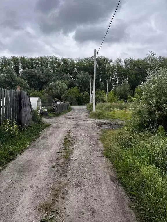 Участок 4,5 сот. (СНТ, ДНП) - Фото 0